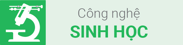 Thiết kế Công nghiệp