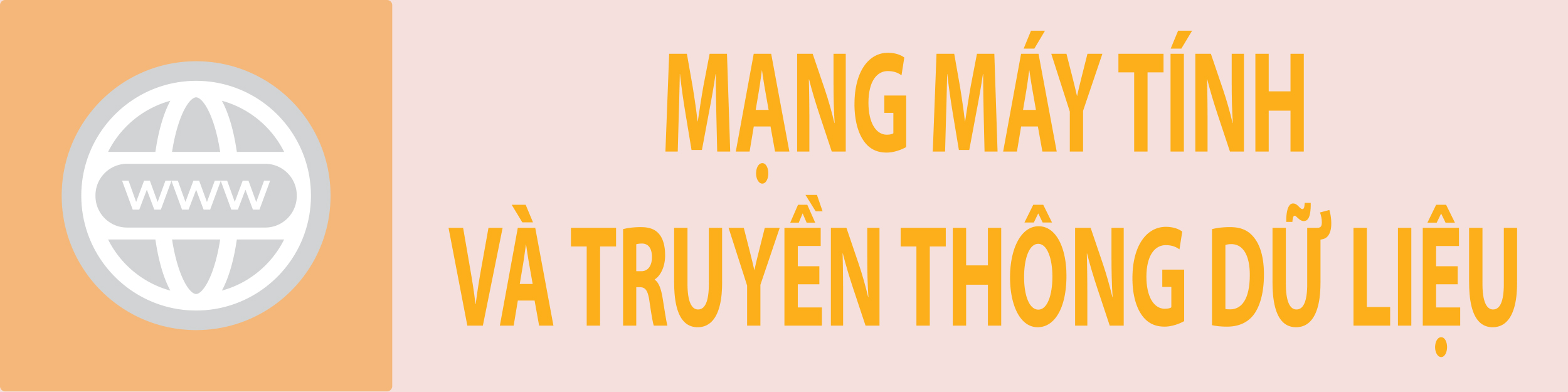 Mạng máy tính và truyền thông dữ liệu
