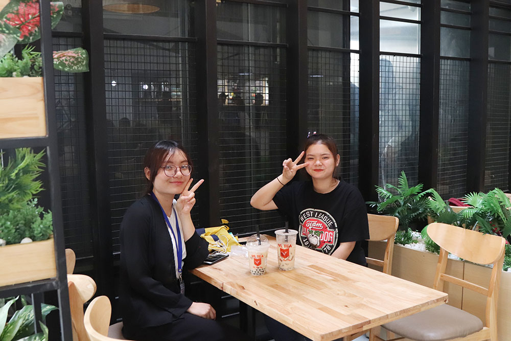 dvl khai truong vl tea d