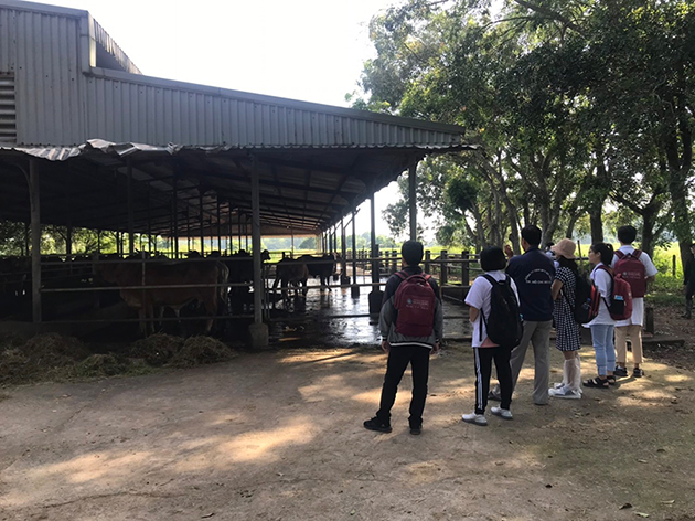 vlu thuc tap chan nuoi e