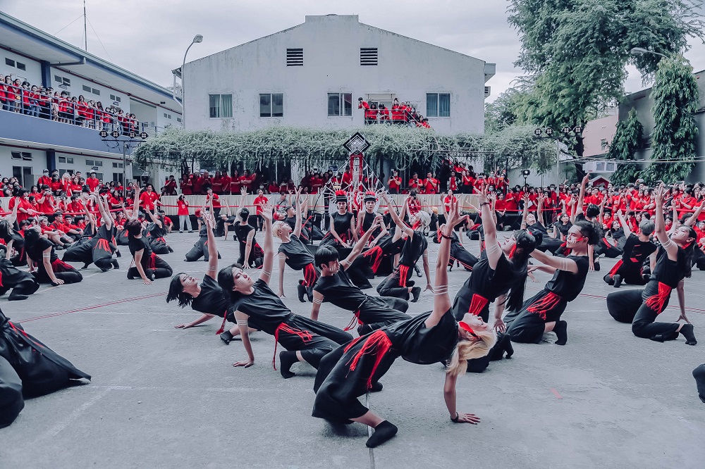 vlu hoa sac thau d