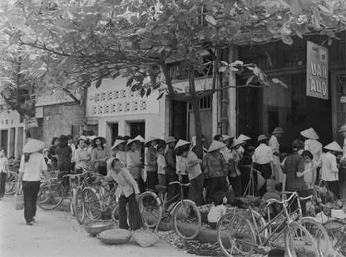 thuong hieu viet 007