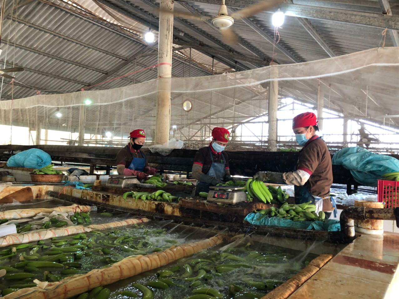 vlu hanh trinh cong nghe sinh hoc l
