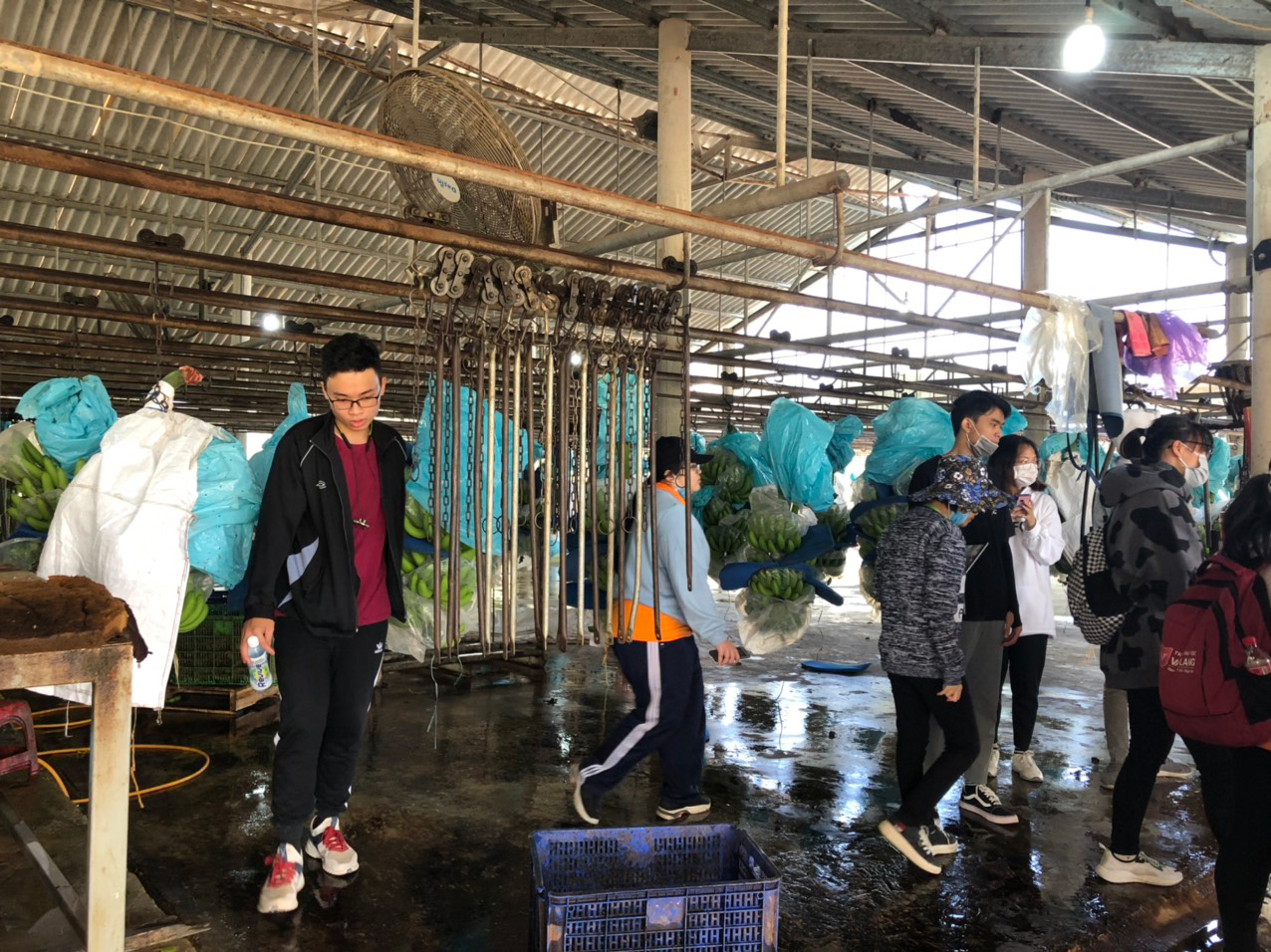 vlu hanh trinh cong nghe sinh hoc m