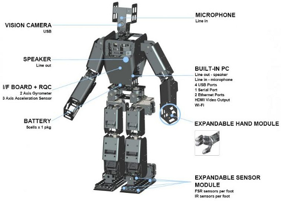 cau tao robot