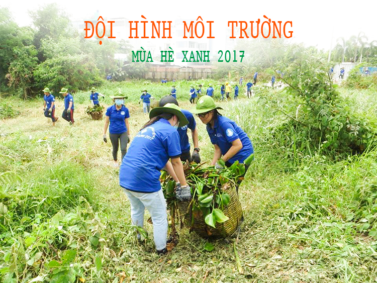 Dh van lang mua he xanh 2017 doi hinh moi truong 1