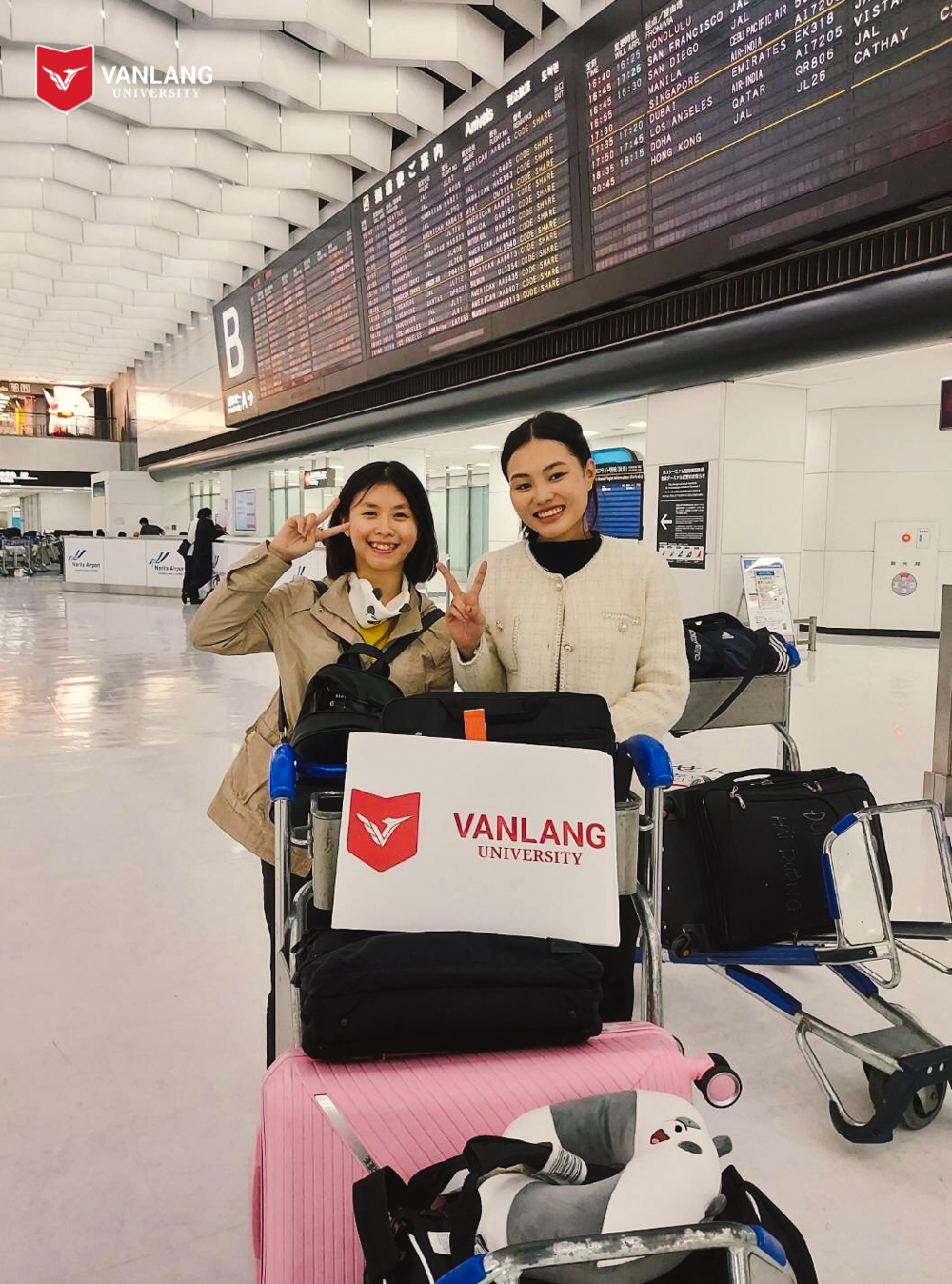 vlu intership nhat ban d