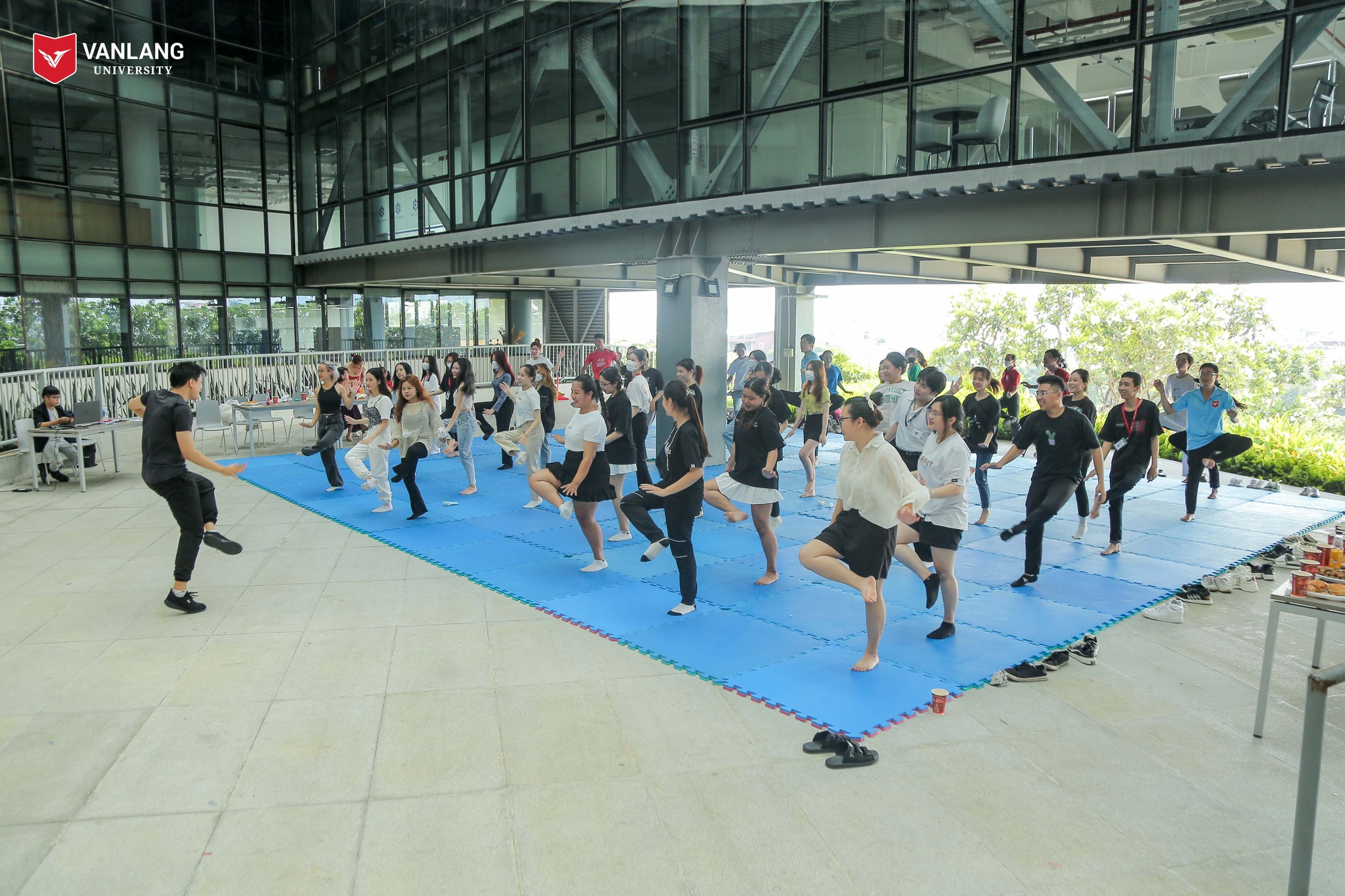 vlu dan vu b