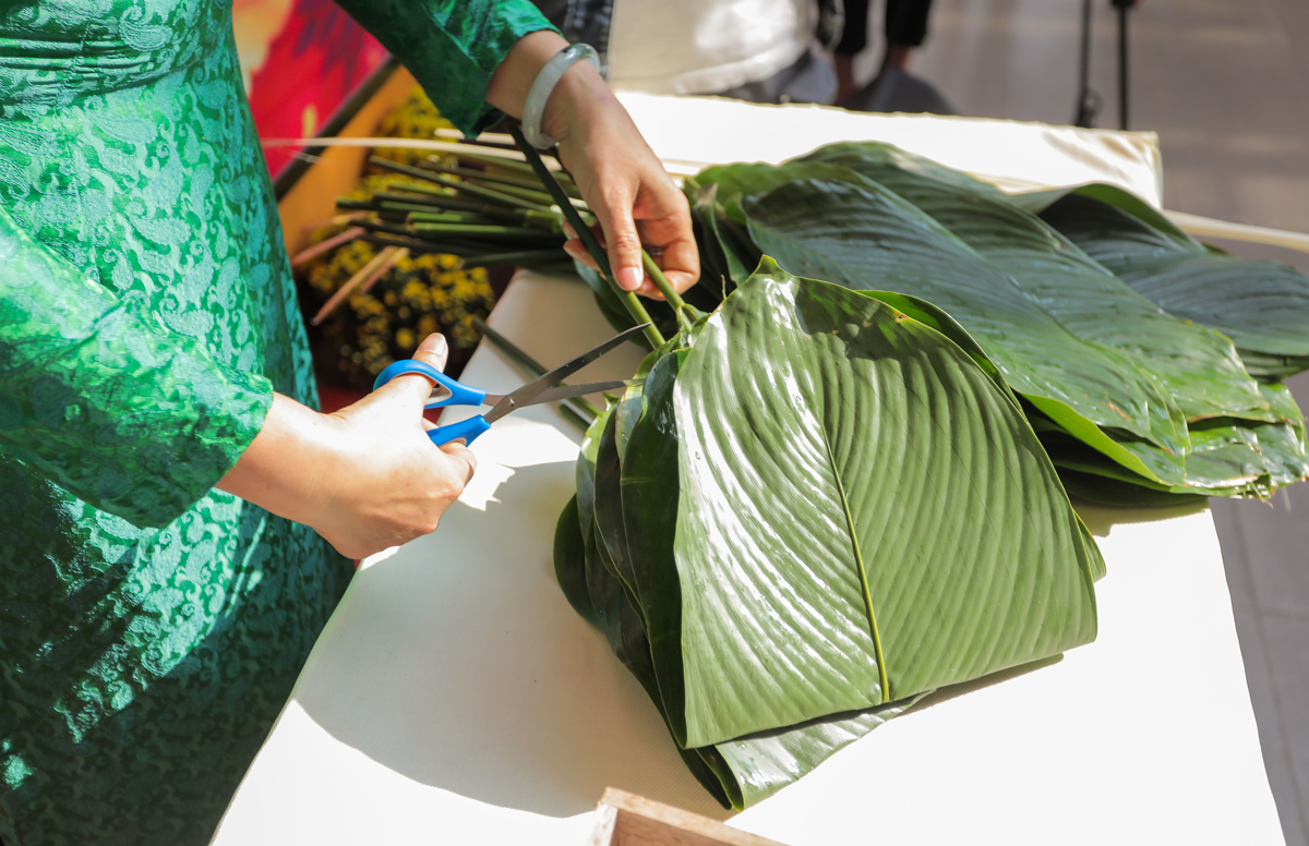 vlu mang huong tet den van lang d