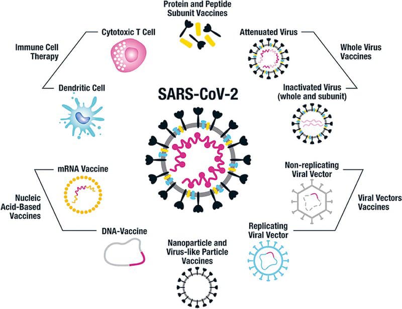 vaccine covid 19 a