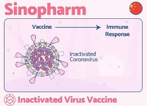 vaccine covid 19 g